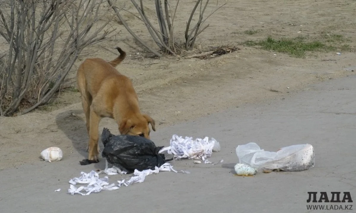 Фото из архива «Лады»