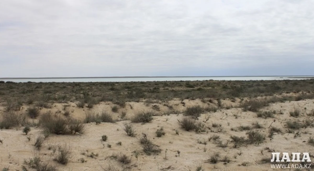 Фото из архива «Лады»