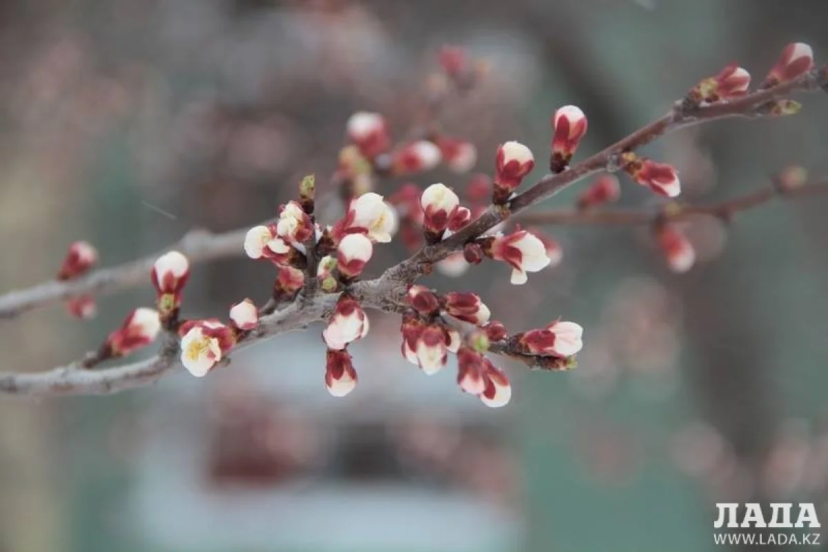 Фото Лианы Рязанцевой