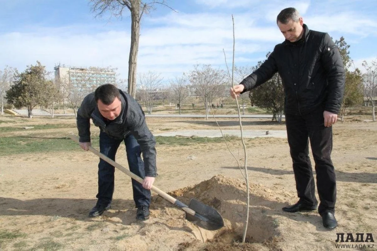 Сотрудники ДКНБ высаживают саженцы. Фото предоставлено участниками акции.||news_pic_more|<!--TBegin--><a href="https://img.lada.kz/2015-04/1428221191_img_3078.jpg" onclick="return hs.expand(this)" ><img align="left" src="https://img.lada.kz/2015-04/thumbs/1428221191_img_3078.jpg" alt='Сотрудники КНБ высадили саженцы в городском парке Актау' title='Сотрудники КНБ высадили саженцы в городском парке Актау'  /></a><!--TEnd--><br /><!--TBegin--><a href="https://img.lada.kz/2015-04/1428221196_img_3092.jpg" onclick="return hs.expand(this)" ><img align="left" src="https://img.lada.kz/2015-04/thumbs/1428221196_img_3092.jpg" alt='Сотрудники КНБ высадили саженцы в городском парке Актау' title='Сотрудники КНБ высадили саженцы в городском парке Актау'  /></a><!--TEnd--><br /><!--TBegin--><a href="https://img.lada.kz/2015-04/1428221135_img_3101.jpg" onclick="return hs.expand(this)" ><img align="left" src="https://img.lada.kz/2015-04/thumbs/1428221135_img_3101.jpg" alt='Сотрудники КНБ высадили саженцы в городском парке Актау' title='Сотрудники КНБ высадили саженцы в городском парке Актау'  /></a><!--TEnd--><br /><!--TBegin--><a href="https://img.lada.kz/2015-04/1428221152_img_3112.jpg" onclick="return hs.expand(this)" ><img align="left" src="https://img.lada.kz/2015-04/thumbs/1428221152_img_3112.jpg" alt='Сотрудники КНБ высадили саженцы в городском парке Актау' title='Сотрудники КНБ высадили саженцы в городском парке Актау'  /></a><!--TEnd--><br /><!--TBegin--><a href="https://img.lada.kz/2015-04/1428221172_img_3124.jpg" onclick="return hs.expand(this)" ><img align="left" src="https://img.lada.kz/2015-04/thumbs/1428221172_img_3124.jpg" alt='Сотрудники КНБ высадили саженцы в городском парке Актау' title='Сотрудники КНБ высадили саженцы в городском парке Актау'  /></a><!--TEnd--><br /><!--TBegin--><a href="https://img.lada.kz/2015-04/1428221185_img_3130.jpg" onclick="return hs.expand(this)" ><img align="left" src="https://img.lada.kz/2015-04/thumbs/1428221185_img_3130.jpg" alt='Сотрудники КНБ высадили саженцы в городском парке Актау' title='Сотрудники КНБ высадили саженцы в городском парке Актау'  /></a><!--TEnd--><br /><!--TBegin--><a href="https://img.lada.kz/2015-04/1428221208_img_3133.jpg" onclick="return hs.expand(this)" ><img align="left" src="https://img.lada.kz/2015-04/thumbs/1428221208_img_3133.jpg" alt='Сотрудники КНБ высадили саженцы в городском парке Актау' title='Сотрудники КНБ высадили саженцы в городском парке Актау'  /></a><!--TEnd--><br /><!--TBegin--><a href="https://img.lada.kz/2015-04/1428221221_img_3136.jpg" onclick="return hs.expand(this)" ><img align="left" src="https://img.lada.kz/2015-04/thumbs/1428221221_img_3136.jpg" alt='Сотрудники КНБ высадили саженцы в городском парке Актау' title='Сотрудники КНБ высадили саженцы в городском парке Актау'  /></a><!--TEnd--><br /><!--TBegin--><a href="https://img.lada.kz/2015-04/1428221213_img_3145.jpg" onclick="return hs.expand(this)" ><img align="left" src="https://img.lada.kz/2015-04/thumbs/1428221213_img_3145.jpg" alt='Сотрудники КНБ высадили саженцы в городском парке Актау' title='Сотрудники КНБ высадили саженцы в городском парке Актау'  /></a><!--TEnd--><br /><!--TBegin--><a href="https://img.lada.kz/2015-04/1428221200_img_3147.jpg" onclick="return hs.expand(this)" ><img align="left" src="https://img.lada.kz/2015-04/thumbs/1428221200_img_3147.jpg" alt='Сотрудники КНБ высадили саженцы в городском парке Актау' title='Сотрудники КНБ высадили саженцы в городском парке Актау'  /></a><!--TEnd--><br /><!--TBegin--><a href="https://img.lada.kz/2015-04/1428221157_img_3152.jpg" onclick="return hs.expand(this)" ><img align="left" src="https://img.lada.kz/2015-04/thumbs/1428221157_img_3152.jpg" alt='Сотрудники КНБ высадили саженцы в городском парке Актау' title='Сотрудники КНБ высадили саженцы в городском парке Актау'  /></a><!--TEnd--><br /><!--TBegin--><a href="https://img.lada.kz/2015-04/1428221170_img_3167.jpg" onclick="return hs.expand(this)" ><img align="left" src="https://img.lada.kz/2015-04/thumbs/1428221170_img_3167.jpg" alt='Сотрудники КНБ высадили саженцы в городском парке Актау' title='Сотрудники КНБ высадили саженцы в городском парке Актау'  /></a><!--TEnd--><br /><!--TBegin--><a href="https://img.lada.kz/2015-04/1428221248_img_3171.jpg" onclick="return hs.expand(this)" ><img align="left" src="https://img.lada.kz/2015-04/thumbs/1428221248_img_3171.jpg" alt='Сотрудники КНБ высадили саженцы в городском парке Актау' title='Сотрудники КНБ высадили саженцы в городском парке Актау'  /></a><!--TEnd-->