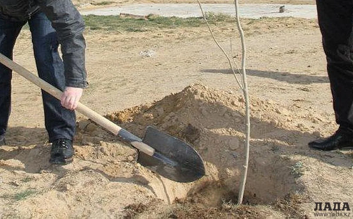 Фото из архива «Лады»