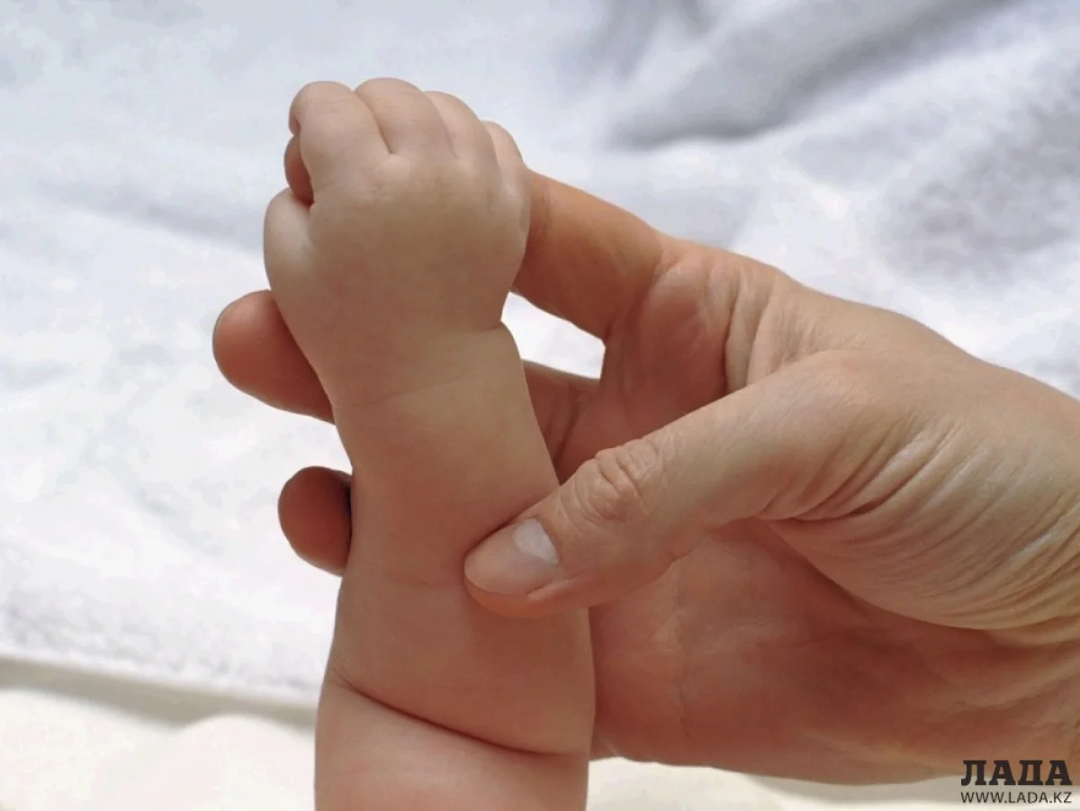 Фото paidagogos.com