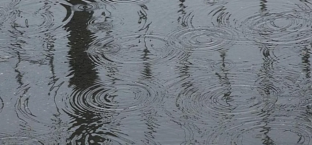 Фото Ольги Ярославской из архива «Лады»