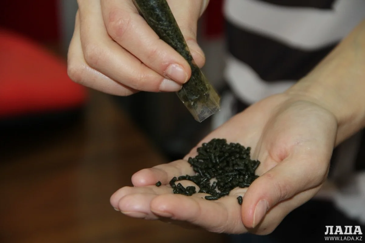 Насвай. Фото автора