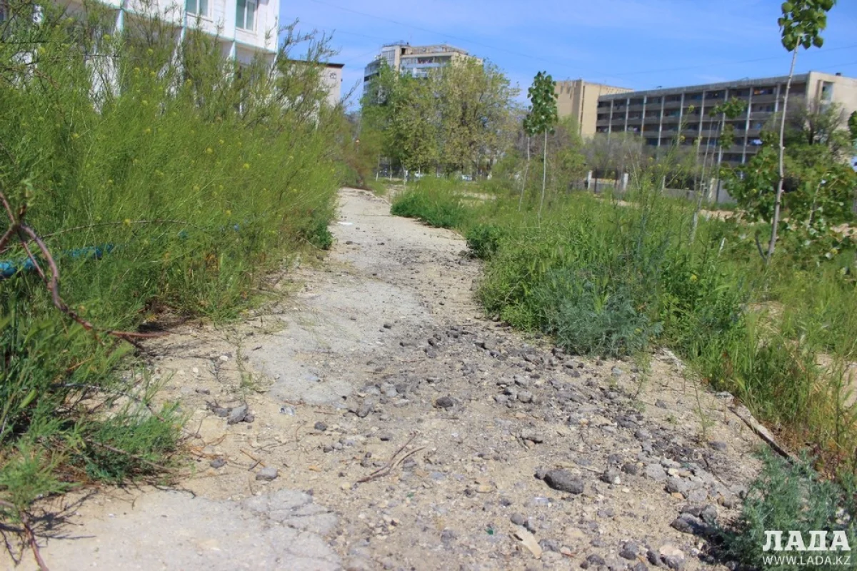 Двор СШ №5||news_pic_more|<!--TBegin--><a href="https://img.lada.kz/2015-05/1431321232_img_2280a.jpg" onclick="return hs.expand(this)" ><img align="left" src="https://img.lada.kz/2015-05/thumbs/1431321232_img_2280a.jpg" alt='Школьный двор. Фотопост' title='Школьный двор. Фотопост'  /></a><!--TEnd--><br /><!--TBegin--><a href="https://img.lada.kz/2015-05/1431321266_img_2282.jpg" onclick="return hs.expand(this)" ><img align="left" src="https://img.lada.kz/2015-05/thumbs/1431321266_img_2282.jpg" alt='Школьный двор. Фотопост' title='Школьный двор. Фотопост'  /></a><!--TEnd--><br /><!--TBegin--><a href="https://img.lada.kz/2015-05/1431321198_img_2283.jpg" onclick="return hs.expand(this)" ><img align="left" src="https://img.lada.kz/2015-05/thumbs/1431321198_img_2283.jpg" alt='Школьный двор. Фотопост' title='Школьный двор. Фотопост'  /></a><!--TEnd--><br /><!--TBegin--><a href="https://img.lada.kz/2015-05/1431321263_img_2286.jpg" onclick="return hs.expand(this)" ><img align="left" src="https://img.lada.kz/2015-05/thumbs/1431321263_img_2286.jpg" alt='Школьный двор. Фотопост' title='Школьный двор. Фотопост'  /></a><!--TEnd--><br /><!--TBegin--><a href="https://img.lada.kz/2015-05/1431321245_img_2287.jpg" onclick="return hs.expand(this)" ><img align="left" src="https://img.lada.kz/2015-05/thumbs/1431321245_img_2287.jpg" alt='Школьный двор. Фотопост' title='Школьный двор. Фотопост'  /></a><!--TEnd--><br /><!--TBegin--><a href="https://img.lada.kz/2015-05/1431321203_img_2288.jpg" onclick="return hs.expand(this)" ><img align="left" src="https://img.lada.kz/2015-05/thumbs/1431321203_img_2288.jpg" alt='Школьный двор. Фотопост' title='Школьный двор. Фотопост'  /></a><!--TEnd--><br /><!--TBegin--><a href="https://img.lada.kz/2015-05/1431321264_img_2289.jpg" onclick="return hs.expand(this)" ><img align="left" src="https://img.lada.kz/2015-05/thumbs/1431321264_img_2289.jpg" alt='Школьный двор. Фотопост' title='Школьный двор. Фотопост'  /></a><!--TEnd--><br /><!--TBegin--><a href="https://img.lada.kz/2015-05/1431321249_img_2290.jpg" onclick="return hs.expand(this)" ><img align="left" src="https://img.lada.kz/2015-05/thumbs/1431321249_img_2290.jpg" alt='Школьный двор. Фотопост' title='Школьный двор. Фотопост'  /></a><!--TEnd--><br /><!--TBegin--><a href="https://img.lada.kz/2015-05/1431321285_img_2291a.jpg" onclick="return hs.expand(this)" ><img align="left" src="https://img.lada.kz/2015-05/thumbs/1431321285_img_2291a.jpg" alt='Школьный двор. Фотопост' title='Школьный двор. Фотопост'  /></a><!--TEnd--><br /><!--TBegin--><a href="https://img.lada.kz/2015-05/1431321310_img_2292.jpg" onclick="return hs.expand(this)" ><img align="left" src="https://img.lada.kz/2015-05/thumbs/1431321310_img_2292.jpg" alt='Школьный двор. Фотопост' title='Школьный двор. Фотопост'  /></a><!--TEnd--><br /><!--TBegin--><a href="https://img.lada.kz/2015-05/1431321337_img_2294.jpg" onclick="return hs.expand(this)" ><img align="left" src="https://img.lada.kz/2015-05/thumbs/1431321337_img_2294.jpg" alt='Школьный двор. Фотопост' title='Школьный двор. Фотопост'  /></a><!--TEnd--><br /><!--TBegin--><a href="https://img.lada.kz/2015-05/1431321350_img_2297.jpg" onclick="return hs.expand(this)" ><img align="left" src="https://img.lada.kz/2015-05/thumbs/1431321350_img_2297.jpg" alt='Школьный двор. Фотопост' title='Школьный двор. Фотопост'  /></a><!--TEnd--><br /><!--TBegin--><a href="https://img.lada.kz/2015-05/1431321359_img_2298.jpg" onclick="return hs.expand(this)" ><img align="left" src="https://img.lada.kz/2015-05/thumbs/1431321359_img_2298.jpg" alt='Школьный двор. Фотопост' title='Школьный двор. Фотопост'  /></a><!--TEnd--><br /><!--TBegin--><a href="https://img.lada.kz/2015-05/1431321265_img_2300.jpg" onclick="return hs.expand(this)" ><img align="left" src="https://img.lada.kz/2015-05/thumbs/1431321265_img_2300.jpg" alt='Школьный двор. Фотопост' title='Школьный двор. Фотопост'  /></a><!--TEnd--><br /><!--TBegin--><a href="https://img.lada.kz/2015-05/1431321282_img_2301.jpg" onclick="return hs.expand(this)" ><img align="left" src="https://img.lada.kz/2015-05/thumbs/1431321282_img_2301.jpg" alt='Школьный двор. Фотопост' title='Школьный двор. Фотопост'  /></a><!--TEnd--><br /><!--TBegin--><a href="https://img.lada.kz/2015-05/1431321310_img_2302a.jpg" onclick="return hs.expand(this)" ><img align="left" src="https://img.lada.kz/2015-05/thumbs/1431321310_img_2302a.jpg" alt='Школьный двор. Фотопост' title='Школьный двор. Фотопост'  /></a><!--TEnd--><br /><!--TBegin--><a href="https://img.lada.kz/2015-05/1431321343_img_2303.jpg" onclick="return hs.expand(this)" ><img align="left" src="https://img.lada.kz/2015-05/thumbs/1431321343_img_2303.jpg" alt='Школьный двор. Фотопост' title='Школьный двор. Фотопост'  /></a><!--TEnd--><br /><!--TBegin--><a href="https://img.lada.kz/2015-05/1431321323_img_2305a.jpg" onclick="return hs.expand(this)" ><img align="left" src="https://img.lada.kz/2015-05/thumbs/1431321323_img_2305a.jpg" alt='Школьный двор. Фотопост' title='Школьный двор. Фотопост'  /></a><!--TEnd-->