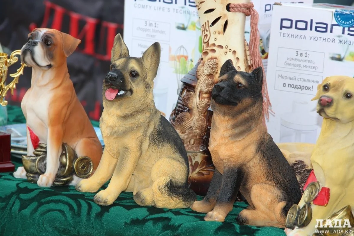 Всем участникам выставки были вручены медали и призы. Фото автора||news_pic_more|<!--TBegin--><a href="https://img.lada.kz/2015-05/1431329789_img_5052.jpg" onclick="return hs.expand(this)" ><img align="left" src="https://img.lada.kz/2015-05/thumbs/1431329789_img_5052.jpg" alt='В Актау определились победители выставки собак «Каспийские звезды»' title='В Актау определились победители выставки собак «Каспийские звезды»'  /></a><!--TEnd--><br /><!--TBegin--><a href="https://img.lada.kz/2015-05/1431329812_img_5054.jpg" onclick="return hs.expand(this)" ><img align="left" src="https://img.lada.kz/2015-05/thumbs/1431329812_img_5054.jpg" alt='В Актау определились победители выставки собак «Каспийские звезды»' title='В Актау определились победители выставки собак «Каспийские звезды»'  /></a><!--TEnd--><br /><!--TBegin--><a href="https://img.lada.kz/2015-05/1431329807_img_5055.jpg" onclick="return hs.expand(this)" ><img align="left" src="https://img.lada.kz/2015-05/thumbs/1431329807_img_5055.jpg" alt='В Актау определились победители выставки собак «Каспийские звезды»' title='В Актау определились победители выставки собак «Каспийские звезды»'  /></a><!--TEnd--><br /><!--TBegin--><a href="https://img.lada.kz/2015-05/1431329788_img_5057.jpg" onclick="return hs.expand(this)" ><img align="left" src="https://img.lada.kz/2015-05/thumbs/1431329788_img_5057.jpg" alt='В Актау определились победители выставки собак «Каспийские звезды»' title='В Актау определились победители выставки собак «Каспийские звезды»'  /></a><!--TEnd--><br /><!--TBegin--><a href="https://img.lada.kz/2015-05/1431329757_img_5058.jpg" onclick="return hs.expand(this)" ><img align="left" src="https://img.lada.kz/2015-05/thumbs/1431329757_img_5058.jpg" alt='В Актау определились победители выставки собак «Каспийские звезды»' title='В Актау определились победители выставки собак «Каспийские звезды»'  /></a><!--TEnd--><br /><!--TBegin--><a href="https://img.lada.kz/2015-05/1431329807_img_5059.jpg" onclick="return hs.expand(this)" ><img align="left" src="https://img.lada.kz/2015-05/thumbs/1431329807_img_5059.jpg" alt='В Актау определились победители выставки собак «Каспийские звезды»' title='В Актау определились победители выставки собак «Каспийские звезды»'  /></a><!--TEnd--><br /><!--TBegin--><a href="https://img.lada.kz/2015-05/1431329771_img_5060.jpg" onclick="return hs.expand(this)" ><img align="left" src="https://img.lada.kz/2015-05/thumbs/1431329771_img_5060.jpg" alt='В Актау определились победители выставки собак «Каспийские звезды»' title='В Актау определились победители выставки собак «Каспийские звезды»'  /></a><!--TEnd--><br /><!--TBegin--><a href="https://img.lada.kz/2015-05/1431329830_img_5061.jpg" onclick="return hs.expand(this)" ><img align="left" src="https://img.lada.kz/2015-05/thumbs/1431329830_img_5061.jpg" alt='В Актау определились победители выставки собак «Каспийские звезды»' title='В Актау определились победители выставки собак «Каспийские звезды»'  /></a><!--TEnd--><br /><!--TBegin--><a href="https://img.lada.kz/2015-05/1431329811_img_5157.jpg" onclick="return hs.expand(this)" ><img align="left" src="https://img.lada.kz/2015-05/thumbs/1431329811_img_5157.jpg" alt='В Актау определились победители выставки собак «Каспийские звезды»' title='В Актау определились победители выставки собак «Каспийские звезды»'  /></a><!--TEnd-->
