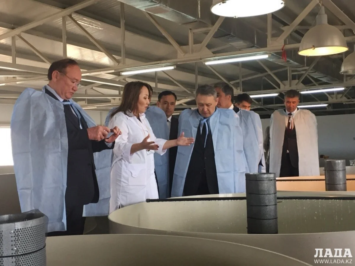 Турсынгуль Жакыпова проводит экскурсию для делегации комитета по социально-культурному развитию и науке Сената Парламента РК||news_pic_more|<!--TBegin--><a href="https://img.lada.kz/2015-05/1431429210_3yqrnhqzrvw.jpg" onclick="return hs.expand(this)" ><img align="left" src="https://img.lada.kz/2015-05/thumbs/1431429210_3yqrnhqzrvw.jpg" alt='Мангистауская осетровая ферма ждет разрешения на продажу рыбы' title='Мангистауская осетровая ферма ждет разрешения на продажу рыбы'  /></a><!--TEnd--><br /><!--TBegin--><a href="https://img.lada.kz/2015-05/1431429133_6oxwukff7hi.jpg" onclick="return hs.expand(this)" ><img align="left" src="https://img.lada.kz/2015-05/thumbs/1431429133_6oxwukff7hi.jpg" alt='Мангистауская осетровая ферма ждет разрешения на продажу рыбы' title='Мангистауская осетровая ферма ждет разрешения на продажу рыбы'  /></a><!--TEnd--><br /><!--TBegin--><a href="https://img.lada.kz/2015-05/1431429196_c4we3_viisi.jpg" onclick="return hs.expand(this)" ><img align="left" src="https://img.lada.kz/2015-05/thumbs/1431429196_c4we3_viisi.jpg" alt='Мангистауская осетровая ферма ждет разрешения на продажу рыбы' title='Мангистауская осетровая ферма ждет разрешения на продажу рыбы'  /></a><!--TEnd--><br /><!--TBegin--><a href="https://img.lada.kz/2015-05/1431429150_feez8of09o0.jpg" onclick="return hs.expand(this)" ><img align="left" src="https://img.lada.kz/2015-05/thumbs/1431429150_feez8of09o0.jpg" alt='Мангистауская осетровая ферма ждет разрешения на продажу рыбы' title='Мангистауская осетровая ферма ждет разрешения на продажу рыбы'  /></a><!--TEnd--><br /><!--TBegin--><a href="https://img.lada.kz/2015-05/1431429158_svhrldft-kk.jpg" onclick="return hs.expand(this)" ><img align="left" src="https://img.lada.kz/2015-05/thumbs/1431429158_svhrldft-kk.jpg" alt='Мангистауская осетровая ферма ждет разрешения на продажу рыбы' title='Мангистауская осетровая ферма ждет разрешения на продажу рыбы'  /></a><!--TEnd--><br /><!--TBegin--><a href="https://img.lada.kz/2015-05/1431429170_tdmq5kkymys.jpg" onclick="return hs.expand(this)" ><img align="left" src="https://img.lada.kz/2015-05/thumbs/1431429170_tdmq5kkymys.jpg" alt='Мангистауская осетровая ферма ждет разрешения на продажу рыбы' title='Мангистауская осетровая ферма ждет разрешения на продажу рыбы'  /></a><!--TEnd--><br /><!--TBegin--><a href="https://img.lada.kz/2015-05/1431429143_yd0k3_seck8.jpg" onclick="return hs.expand(this)" ><img align="left" src="https://img.lada.kz/2015-05/thumbs/1431429143_yd0k3_seck8.jpg" alt='Мангистауская осетровая ферма ждет разрешения на продажу рыбы' title='Мангистауская осетровая ферма ждет разрешения на продажу рыбы'  /></a><!--TEnd--><br /><!--TBegin--><a href="https://img.lada.kz/2015-05/1431429181_zlq9op5tmx8.jpg" onclick="return hs.expand(this)" ><img align="left" src="https://img.lada.kz/2015-05/thumbs/1431429181_zlq9op5tmx8.jpg" alt='Мангистауская осетровая ферма ждет разрешения на продажу рыбы' title='Мангистауская осетровая ферма ждет разрешения на продажу рыбы'  /></a><!--TEnd-->