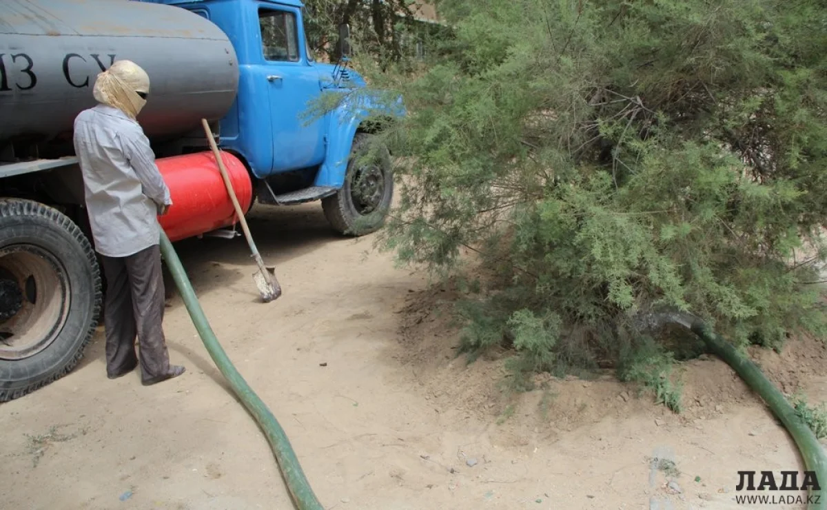 фото из архива «Лады»