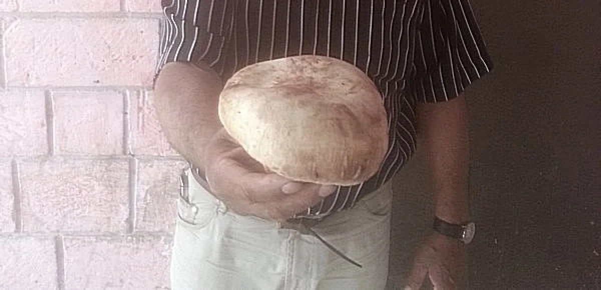 Найденный гриб