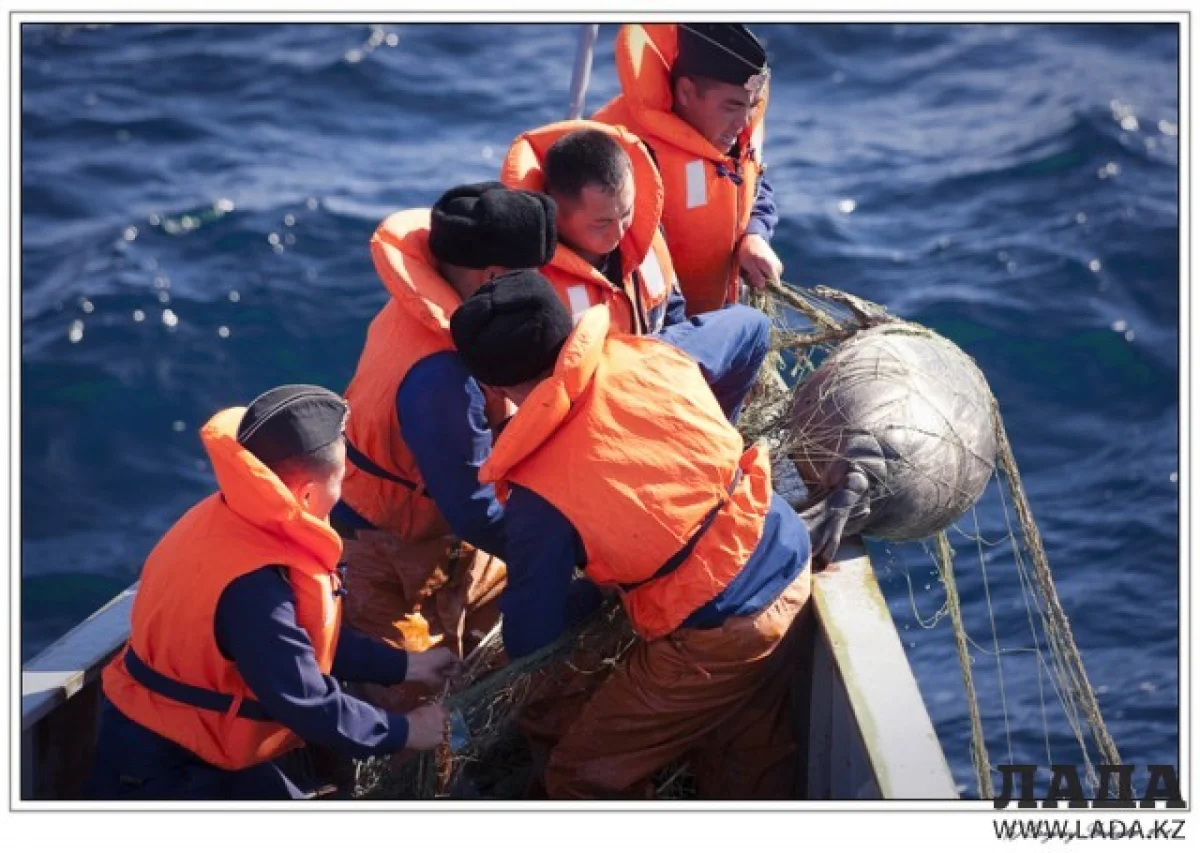 Фото news.nur.kz