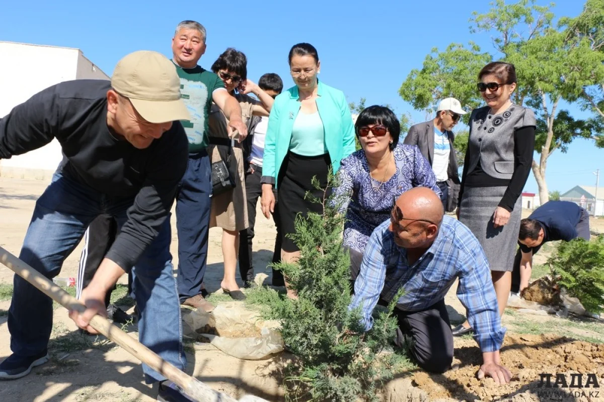 Выпускники спустя 30 лет высадили деревья во дворе школы. Фото автора||news_pic_more|<!--TBegin--><a href="https://img.lada.kz/2015-05/1432401031_img_1805.jpg" onclick="return hs.expand(this)" ><img align="left" src="https://img.lada.kz/2015-05/thumbs/1432401031_img_1805.jpg" alt='В Кызылтобе спустя 30 лет выпускники сделали подарок родной школе' title='В Кызылтобе спустя 30 лет выпускники сделали подарок родной школе'  /></a><!--TEnd--><br /><!--TBegin--><a href="https://img.lada.kz/2015-05/1432400955_img_1816.jpg" onclick="return hs.expand(this)" ><img align="left" src="https://img.lada.kz/2015-05/thumbs/1432400955_img_1816.jpg" alt='В Кызылтобе спустя 30 лет выпускники сделали подарок родной школе' title='В Кызылтобе спустя 30 лет выпускники сделали подарок родной школе'  /></a><!--TEnd--><br /><!--TBegin--><a href="https://img.lada.kz/2015-05/1432401038_img_1818.jpg" onclick="return hs.expand(this)" ><img align="left" src="https://img.lada.kz/2015-05/thumbs/1432401038_img_1818.jpg" alt='В Кызылтобе спустя 30 лет выпускники сделали подарок родной школе' title='В Кызылтобе спустя 30 лет выпускники сделали подарок родной школе'  /></a><!--TEnd--><br /><!--TBegin--><a href="https://img.lada.kz/2015-05/1432401018_img_1822.jpg" onclick="return hs.expand(this)" ><img align="left" src="https://img.lada.kz/2015-05/thumbs/1432401018_img_1822.jpg" alt='В Кызылтобе спустя 30 лет выпускники сделали подарок родной школе' title='В Кызылтобе спустя 30 лет выпускники сделали подарок родной школе'  /></a><!--TEnd--><br /><!--TBegin--><a href="https://img.lada.kz/2015-05/1432400967_img_1825.jpg" onclick="return hs.expand(this)" ><img align="left" src="https://img.lada.kz/2015-05/thumbs/1432400967_img_1825.jpg" alt='В Кызылтобе спустя 30 лет выпускники сделали подарок родной школе' title='В Кызылтобе спустя 30 лет выпускники сделали подарок родной школе'  /></a><!--TEnd--><br /><!--TBegin--><a href="https://img.lada.kz/2015-05/1432401029_img_1834.jpg" onclick="return hs.expand(this)" ><img align="left" src="https://img.lada.kz/2015-05/thumbs/1432401029_img_1834.jpg" alt='В Кызылтобе спустя 30 лет выпускники сделали подарок родной школе' title='В Кызылтобе спустя 30 лет выпускники сделали подарок родной школе'  /></a><!--TEnd--><br /><!--TBegin--><a href="https://img.lada.kz/2015-05/1432401030_img_1848.jpg" onclick="return hs.expand(this)" ><img align="left" src="https://img.lada.kz/2015-05/thumbs/1432401030_img_1848.jpg" alt='В Кызылтобе спустя 30 лет выпускники сделали подарок родной школе' title='В Кызылтобе спустя 30 лет выпускники сделали подарок родной школе'  /></a><!--TEnd--><br /><!--TBegin--><a href="https://img.lada.kz/2015-05/1432401052_img_1852.jpg" onclick="return hs.expand(this)" ><img align="left" src="https://img.lada.kz/2015-05/thumbs/1432401052_img_1852.jpg" alt='В Кызылтобе спустя 30 лет выпускники сделали подарок родной школе' title='В Кызылтобе спустя 30 лет выпускники сделали подарок родной школе'  /></a><!--TEnd--><br /><!--TBegin--><a href="https://img.lada.kz/2015-05/1432400994_img_1861.jpg" onclick="return hs.expand(this)" ><img align="left" src="https://img.lada.kz/2015-05/thumbs/1432400994_img_1861.jpg" alt='В Кызылтобе спустя 30 лет выпускники сделали подарок родной школе' title='В Кызылтобе спустя 30 лет выпускники сделали подарок родной школе'  /></a><!--TEnd--><br /><!--TBegin--><a href="https://img.lada.kz/2015-05/1432401022_img_1869.jpg" onclick="return hs.expand(this)" ><img align="left" src="https://img.lada.kz/2015-05/thumbs/1432401022_img_1869.jpg" alt='В Кызылтобе спустя 30 лет выпускники сделали подарок родной школе' title='В Кызылтобе спустя 30 лет выпускники сделали подарок родной школе'  /></a><!--TEnd--><br /><!--TBegin--><a href="https://img.lada.kz/2015-05/1432401080_img_1871.jpg" onclick="return hs.expand(this)" ><img align="left" src="https://img.lada.kz/2015-05/thumbs/1432401080_img_1871.jpg" alt='В Кызылтобе спустя 30 лет выпускники сделали подарок родной школе' title='В Кызылтобе спустя 30 лет выпускники сделали подарок родной школе'  /></a><!--TEnd--><br /><!--TBegin--><a href="https://img.lada.kz/2015-05/1432401032_img_1880.jpg" onclick="return hs.expand(this)" ><img align="left" src="https://img.lada.kz/2015-05/thumbs/1432401032_img_1880.jpg" alt='В Кызылтобе спустя 30 лет выпускники сделали подарок родной школе' title='В Кызылтобе спустя 30 лет выпускники сделали подарок родной школе'  /></a><!--TEnd--><br /><!--TBegin--><a href="https://img.lada.kz/2015-05/1432401055_img_1885.jpg" onclick="return hs.expand(this)" ><img align="left" src="https://img.lada.kz/2015-05/thumbs/1432401055_img_1885.jpg" alt='В Кызылтобе спустя 30 лет выпускники сделали подарок родной школе' title='В Кызылтобе спустя 30 лет выпускники сделали подарок родной школе'  /></a><!--TEnd--><br /><!--TBegin--><a href="https://img.lada.kz/2015-05/1432401053_img_1887.jpg" onclick="return hs.expand(this)" ><img align="left" src="https://img.lada.kz/2015-05/thumbs/1432401053_img_1887.jpg" alt='В Кызылтобе спустя 30 лет выпускники сделали подарок родной школе' title='В Кызылтобе спустя 30 лет выпускники сделали подарок родной школе'  /></a><!--TEnd--><br /><!--TBegin--><a href="https://img.lada.kz/2015-05/1432401007_img_1889.jpg" onclick="return hs.expand(this)" ><img align="left" src="https://img.lada.kz/2015-05/thumbs/1432401007_img_1889.jpg" alt='В Кызылтобе спустя 30 лет выпускники сделали подарок родной школе' title='В Кызылтобе спустя 30 лет выпускники сделали подарок родной школе'  /></a><!--TEnd--><br /><!--TBegin--><a href="https://img.lada.kz/2015-05/1432401056_img_1909.jpg" onclick="return hs.expand(this)" ><img align="left" src="https://img.lada.kz/2015-05/thumbs/1432401056_img_1909.jpg" alt='В Кызылтобе спустя 30 лет выпускники сделали подарок родной школе' title='В Кызылтобе спустя 30 лет выпускники сделали подарок родной школе'  /></a><!--TEnd--><br /><!--TBegin--><a href="https://img.lada.kz/2015-05/1432401044_img_1918.jpg" onclick="return hs.expand(this)" ><img align="left" src="https://img.lada.kz/2015-05/thumbs/1432401044_img_1918.jpg" alt='В Кызылтобе спустя 30 лет выпускники сделали подарок родной школе' title='В Кызылтобе спустя 30 лет выпускники сделали подарок родной школе'  /></a><!--TEnd--><br /><!--TBegin--><a href="https://img.lada.kz/2015-05/1432401046_img_1939.jpg" onclick="return hs.expand(this)" ><img align="left" src="https://img.lada.kz/2015-05/thumbs/1432401046_img_1939.jpg" alt='В Кызылтобе спустя 30 лет выпускники сделали подарок родной школе' title='В Кызылтобе спустя 30 лет выпускники сделали подарок родной школе'  /></a><!--TEnd--><br /><!--TBegin--><a href="https://img.lada.kz/2015-05/1432401110_img_1948.jpg" onclick="return hs.expand(this)" ><img align="left" src="https://img.lada.kz/2015-05/thumbs/1432401110_img_1948.jpg" alt='В Кызылтобе спустя 30 лет выпускники сделали подарок родной школе' title='В Кызылтобе спустя 30 лет выпускники сделали подарок родной школе'  /></a><!--TEnd--><br /><!--TBegin--><a href="https://img.lada.kz/2015-05/1432401038_img_1961.jpg" onclick="return hs.expand(this)" ><img align="left" src="https://img.lada.kz/2015-05/thumbs/1432401038_img_1961.jpg" alt='В Кызылтобе спустя 30 лет выпускники сделали подарок родной школе' title='В Кызылтобе спустя 30 лет выпускники сделали подарок родной школе'  /></a><!--TEnd-->