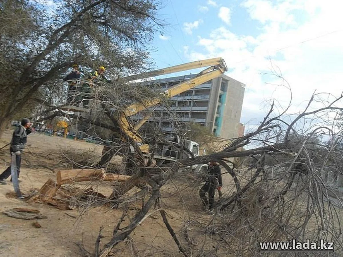 Фото из архива «Лады»