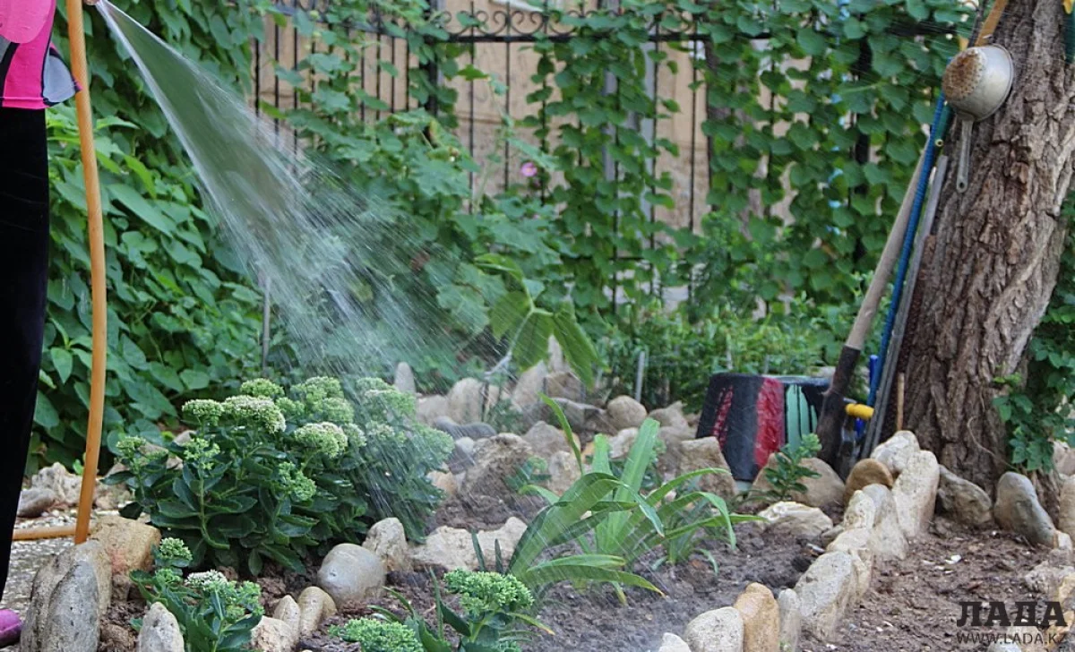 Иллюстративное фото. Фото автора