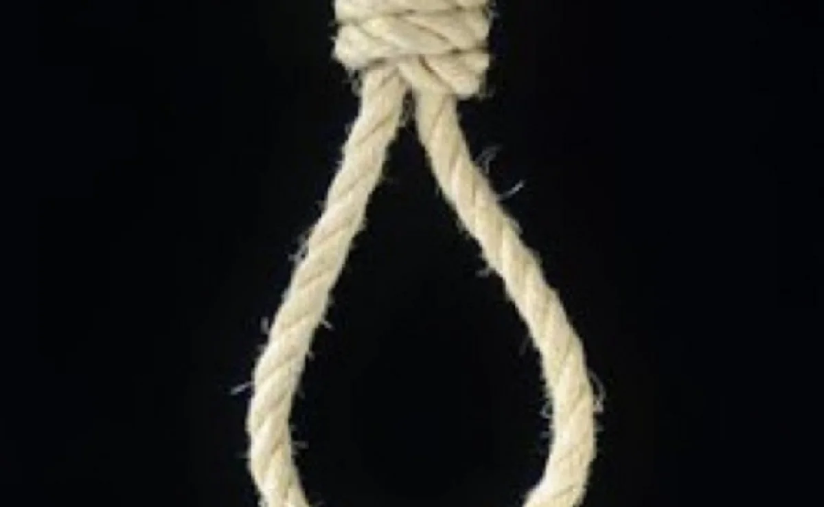 Фото kursk-izvestia.ru