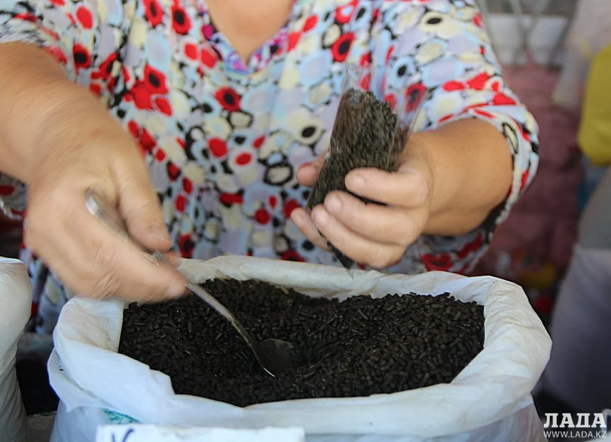 Фото автора из архива «Лады»