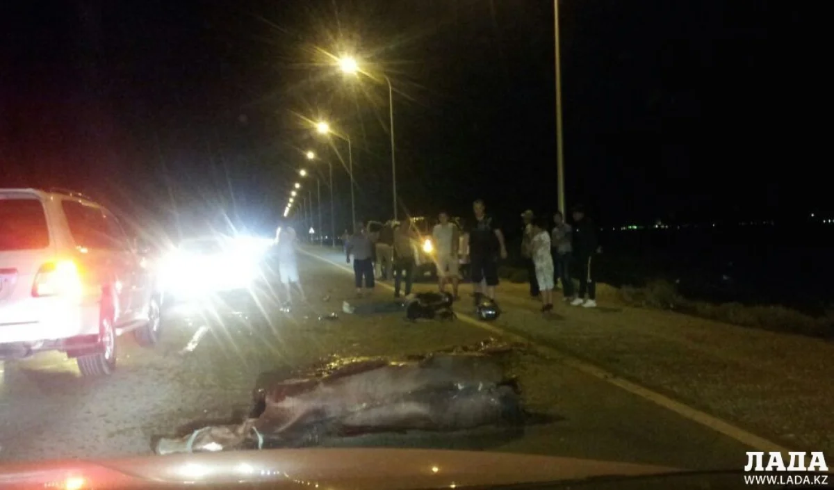 фото с места аварии