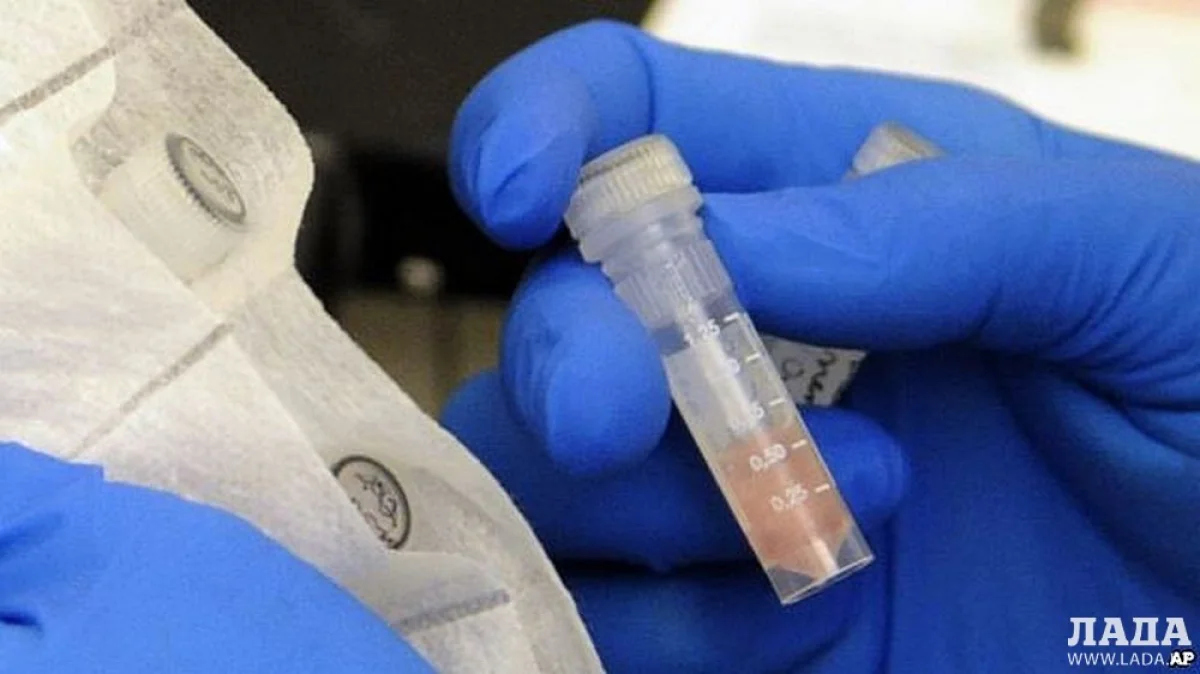 Фото golos-ameriki.ru