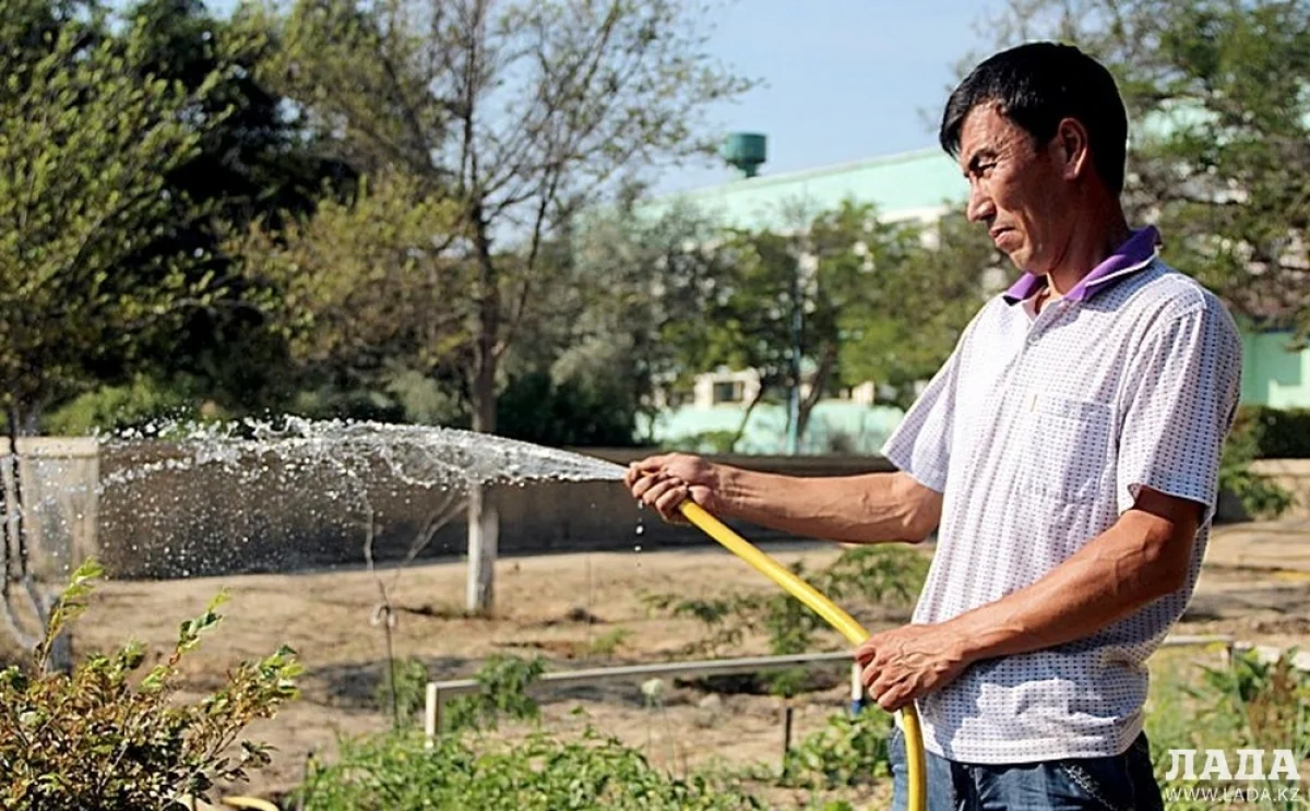Полив деревьев  фото из архива &quot;Лады&quot;