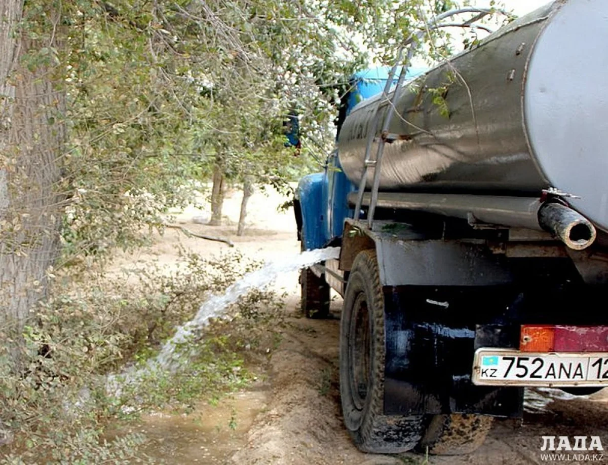 Фото автора из архива &quot;Лады&quot;