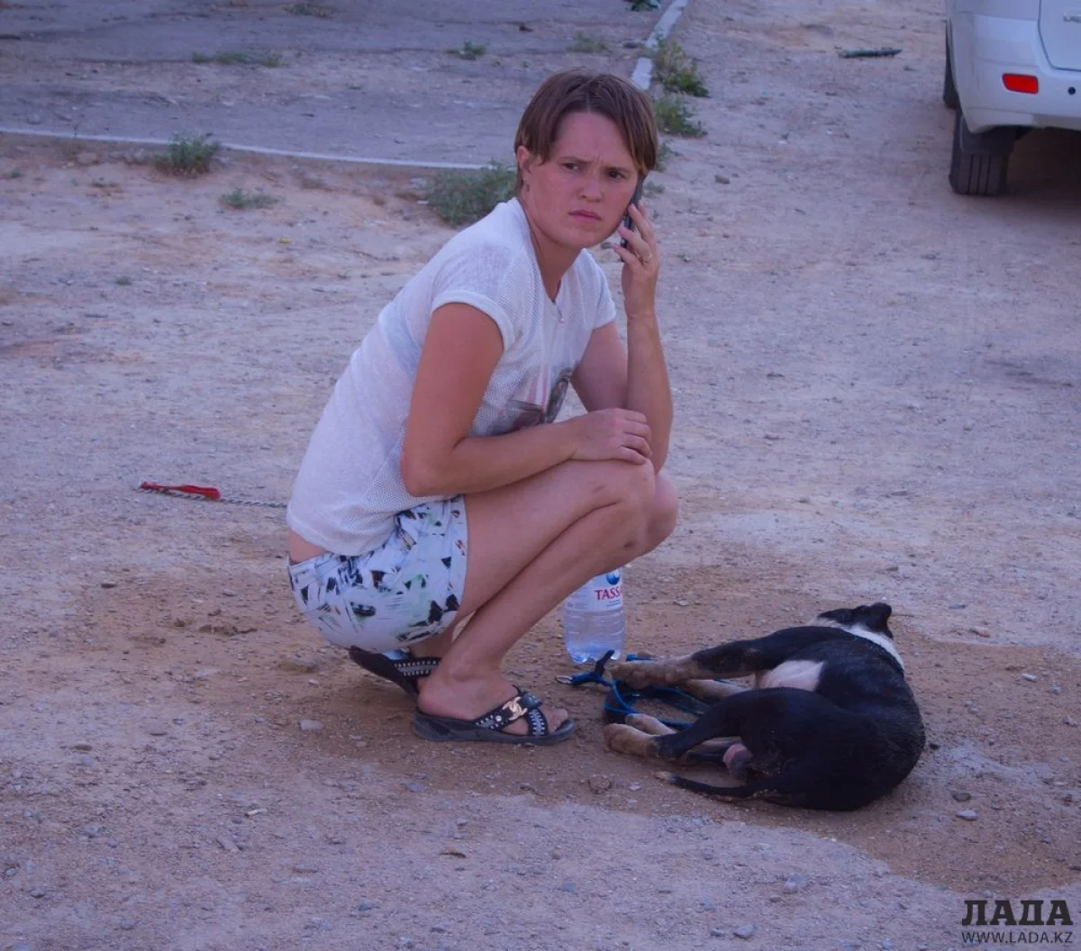 Собака лежала без сознания||news_pic_more|<!--TBegin--><a href="https://img.lada.kz/2015-06/1434984248_img_6155.jpg" onclick="return hs.expand(this)" ><img align="left" src="https://img.lada.kz/2015-06/thumbs/1434984248_img_6155.jpg" alt='Защитники животных Актау заявили о жестоком обращении с собакой бойцовской породы' title='Защитники животных Актау заявили о жестоком обращении с собакой бойцовской породы'  /></a><!--TEnd--><br /><!--TBegin--><a href="https://img.lada.kz/2015-06/1434984160_img_6162.jpg" onclick="return hs.expand(this)" ><img align="left" src="https://img.lada.kz/2015-06/thumbs/1434984160_img_6162.jpg" alt='Защитники животных Актау заявили о жестоком обращении с собакой бойцовской породы' title='Защитники животных Актау заявили о жестоком обращении с собакой бойцовской породы'  /></a><!--TEnd--><br /><!--TBegin--><a href="https://img.lada.kz/2015-06/1434984243_img_6165.jpg" onclick="return hs.expand(this)" ><img align="left" src="https://img.lada.kz/2015-06/thumbs/1434984243_img_6165.jpg" alt='Защитники животных Актау заявили о жестоком обращении с собакой бойцовской породы' title='Защитники животных Актау заявили о жестоком обращении с собакой бойцовской породы'  /></a><!--TEnd--><br /><!--TBegin--><a href="https://img.lada.kz/2015-06/1434984229_img_6172.jpg" onclick="return hs.expand(this)" ><img align="left" src="https://img.lada.kz/2015-06/thumbs/1434984229_img_6172.jpg" alt='Защитники животных Актау заявили о жестоком обращении с собакой бойцовской породы' title='Защитники животных Актау заявили о жестоком обращении с собакой бойцовской породы'  /></a><!--TEnd--><br /><!--TBegin--><a href="https://img.lada.kz/2015-06/1434984187_img_6181.jpg" onclick="return hs.expand(this)" ><img align="left" src="https://img.lada.kz/2015-06/thumbs/1434984187_img_6181.jpg" alt='Защитники животных Актау заявили о жестоком обращении с собакой бойцовской породы' title='Защитники животных Актау заявили о жестоком обращении с собакой бойцовской породы'  /></a><!--TEnd--><br /><!--TBegin--><a href="https://img.lada.kz/2015-06/1434984167_img_6190.jpg" onclick="return hs.expand(this)" ><img align="left" src="https://img.lada.kz/2015-06/thumbs/1434984167_img_6190.jpg" alt='Защитники животных Актау заявили о жестоком обращении с собакой бойцовской породы' title='Защитники животных Актау заявили о жестоком обращении с собакой бойцовской породы'  /></a><!--TEnd-->