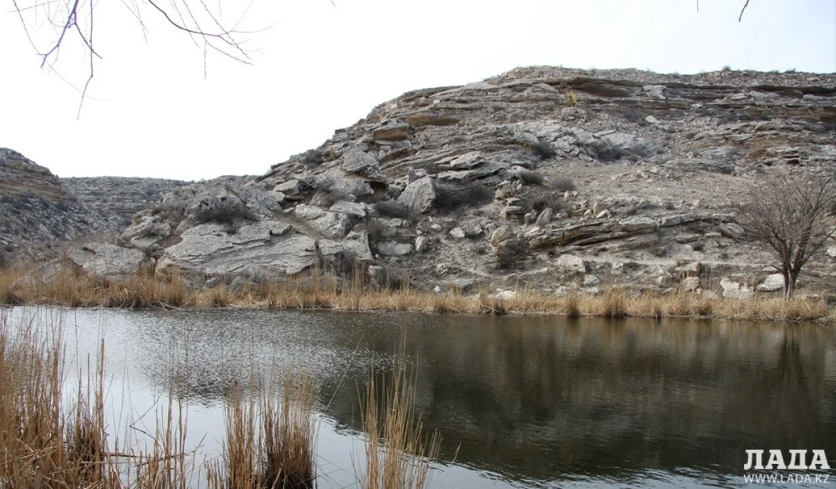 Урочище Тамшалы