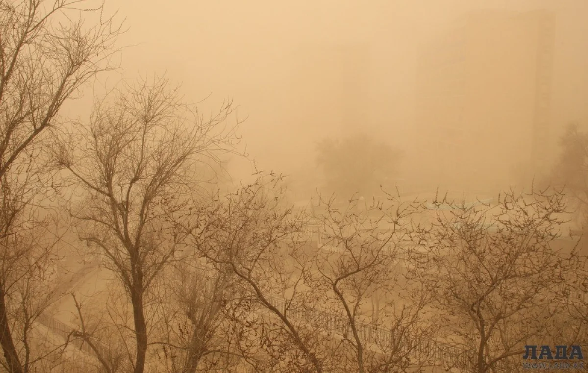 Фото из архива &quot;Лады&quot;