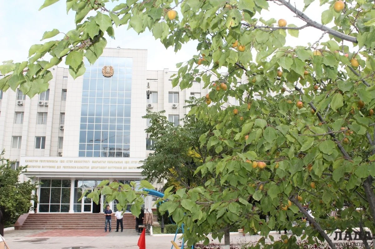 Здание ДВД. Фото автора