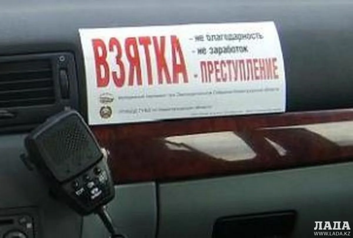 Фото с сайта www.hibiny.com