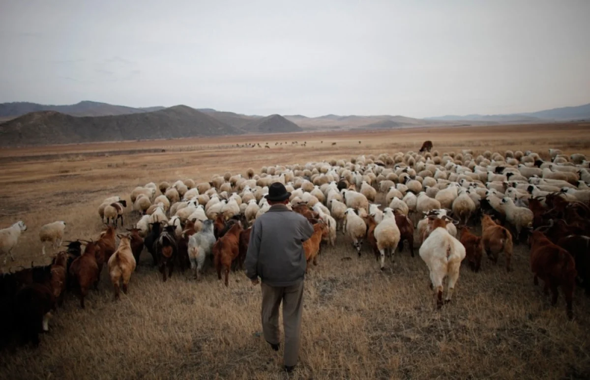 Фото voskanapat.info