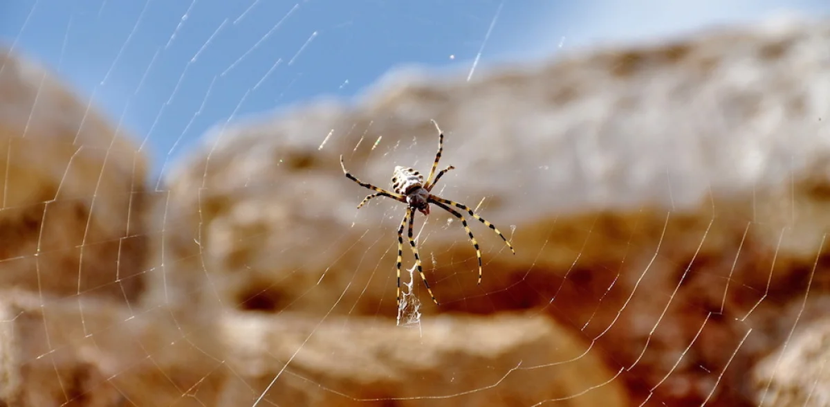 Фото fotoholiday.ru