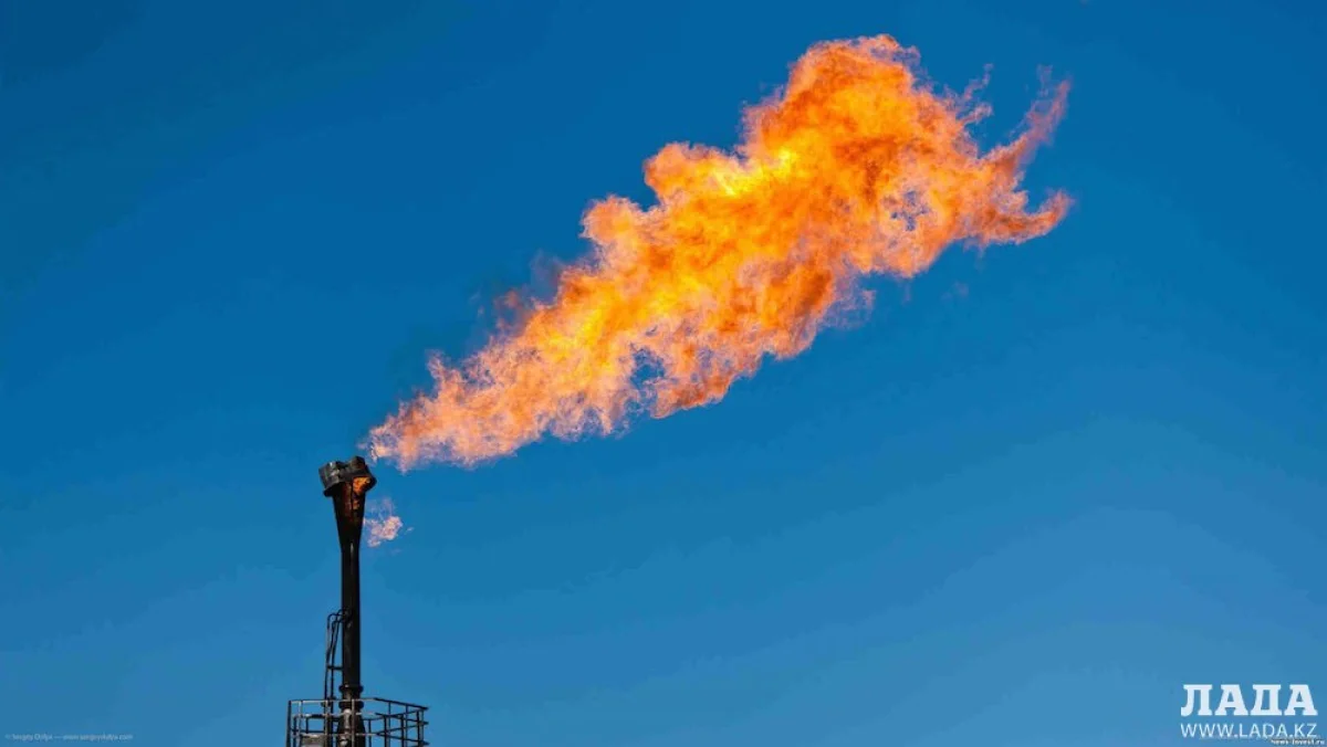 Фото news-invest.ru