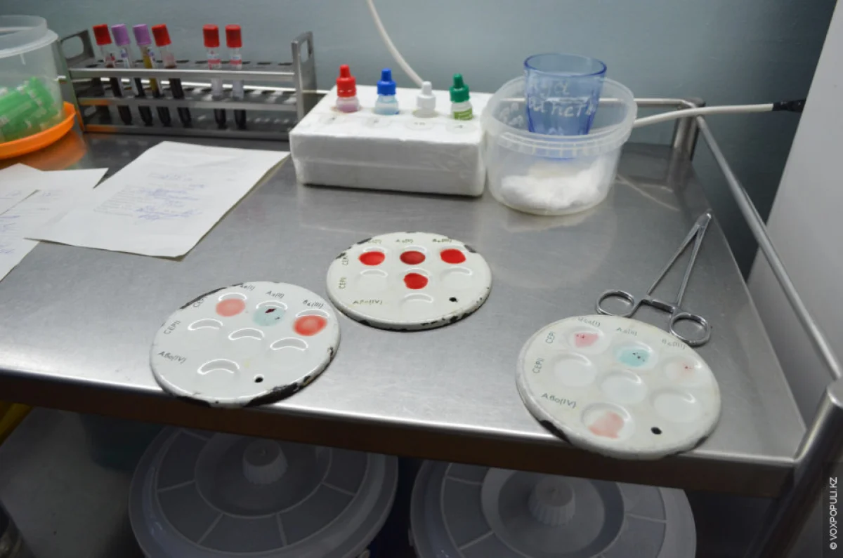 Фото из сети Интернет