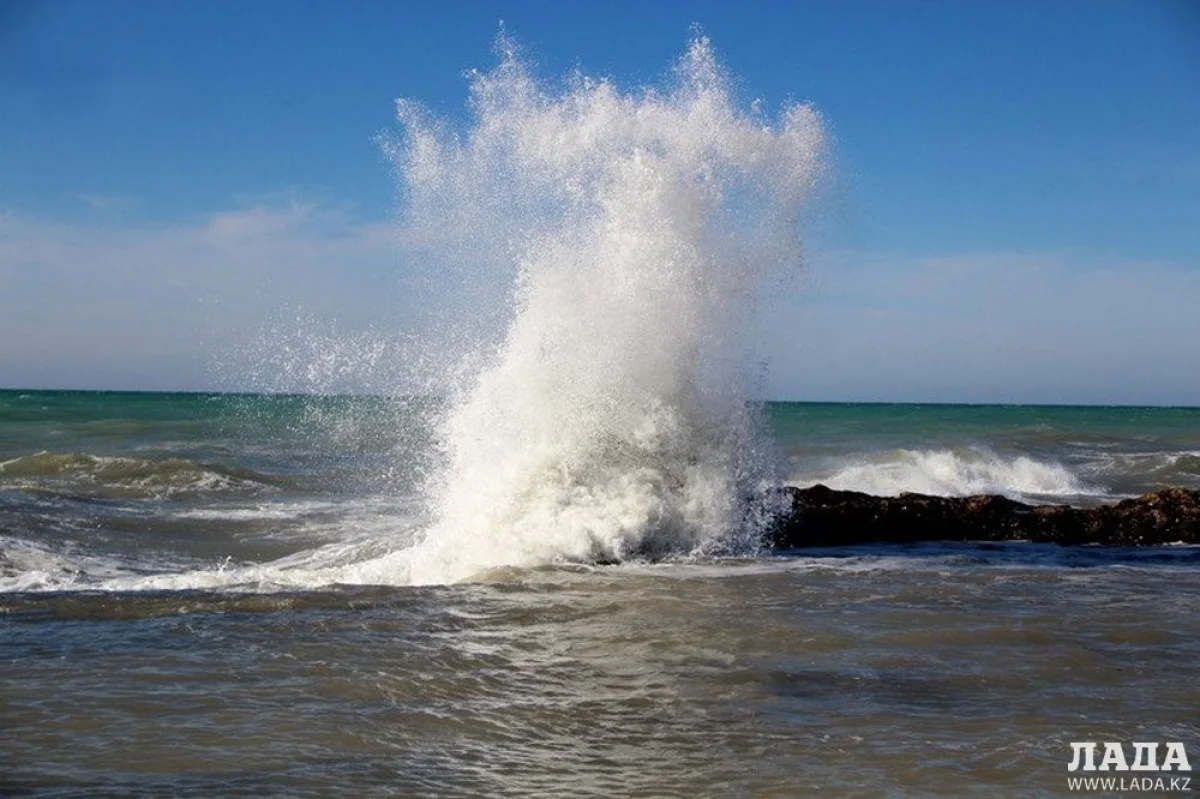 Фото Лианы Рязанцевой