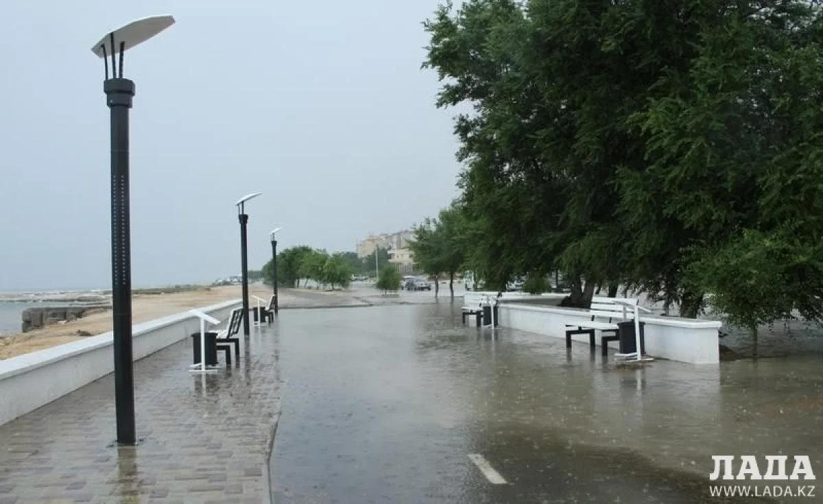 Фото из архива «Лады»