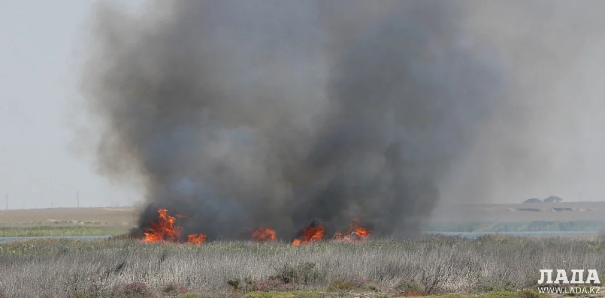 Пожар на озере Каракол||news_pic_more|<!--TBegin--><a href="https://img.lada.kz/2015-09/1441101383_4x4x2850.jpg" onclick="return hs.expand(this)" ><img align="left" src="https://img.lada.kz/2015-09/thumbs/1441101383_4x4x2850.jpg" alt='В пригороде Актау загорелся камыш на озере Караколь' title='В пригороде Актау загорелся камыш на озере Караколь'  /></a><!--TEnd--><br /><!--TBegin--><a href="https://img.lada.kz/2015-09/1441101311_4x4x2857.jpg" onclick="return hs.expand(this)" ><img align="left" src="https://img.lada.kz/2015-09/thumbs/1441101311_4x4x2857.jpg" alt='В пригороде Актау загорелся камыш на озере Караколь' title='В пригороде Актау загорелся камыш на озере Караколь'  /></a><!--TEnd--><br /><!--TBegin--><a href="https://img.lada.kz/2015-09/1441101293_4x4x2859.jpg" onclick="return hs.expand(this)" ><img align="left" src="https://img.lada.kz/2015-09/thumbs/1441101293_4x4x2859.jpg" alt='В пригороде Актау загорелся камыш на озере Караколь' title='В пригороде Актау загорелся камыш на озере Караколь'  /></a><!--TEnd--><br /><!--TBegin--><a href="https://img.lada.kz/2015-09/1441101329_4x4x2873.jpg" onclick="return hs.expand(this)" ><img align="left" src="https://img.lada.kz/2015-09/thumbs/1441101329_4x4x2873.jpg" alt='В пригороде Актау загорелся камыш на озере Караколь' title='В пригороде Актау загорелся камыш на озере Караколь'  /></a><!--TEnd--><br /><!--TBegin--><a href="https://img.lada.kz/2015-09/1441101351_4x4x2905.jpg" onclick="return hs.expand(this)" ><img align="left" src="https://img.lada.kz/2015-09/thumbs/1441101351_4x4x2905.jpg" alt='В пригороде Актау загорелся камыш на озере Караколь' title='В пригороде Актау загорелся камыш на озере Караколь'  /></a><!--TEnd--><br /><!--TBegin--><a href="https://img.lada.kz/2015-09/1441101295_4x4x2914.jpg" onclick="return hs.expand(this)" ><img align="left" src="https://img.lada.kz/2015-09/thumbs/1441101295_4x4x2914.jpg" alt='В пригороде Актау загорелся камыш на озере Караколь' title='В пригороде Актау загорелся камыш на озере Караколь'  /></a><!--TEnd--><br /><!--TBegin--><a href="https://img.lada.kz/2015-09/1441101319_4x4x2931.jpg" onclick="return hs.expand(this)" ><img align="left" src="https://img.lada.kz/2015-09/thumbs/1441101319_4x4x2931.jpg" alt='В пригороде Актау загорелся камыш на озере Караколь' title='В пригороде Актау загорелся камыш на озере Караколь'  /></a><!--TEnd--><br /><!--TBegin--><a href="https://img.lada.kz/2015-09/1441101363_img_2822.jpg" onclick="return hs.expand(this)" ><img align="left" src="https://img.lada.kz/2015-09/thumbs/1441101363_img_2822.jpg" alt='В пригороде Актау загорелся камыш на озере Караколь' title='В пригороде Актау загорелся камыш на озере Караколь'  /></a><!--TEnd-->