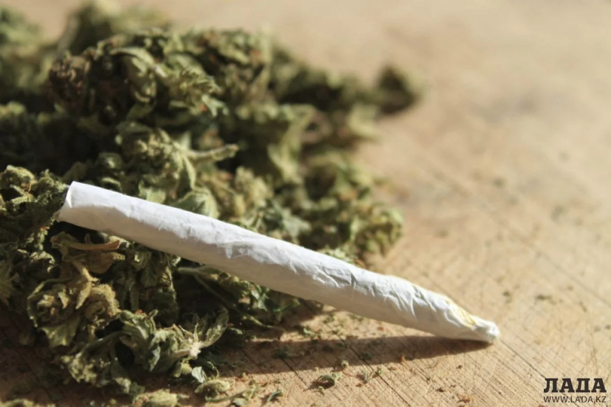 Фото weedlife.ru