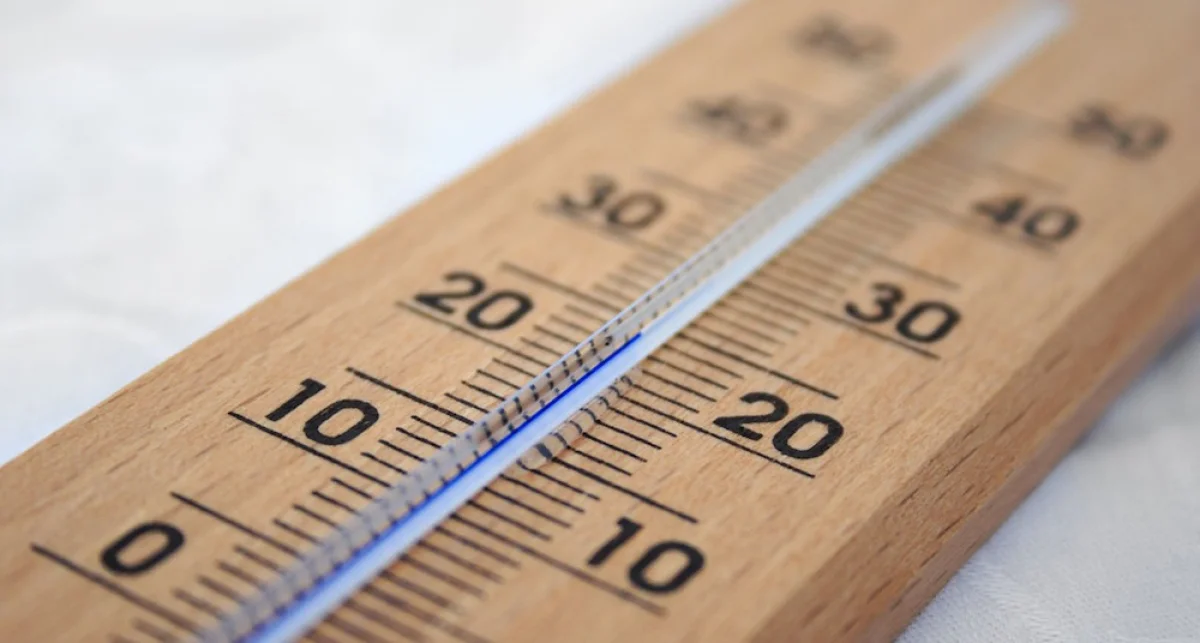 Фото vistanews.ru