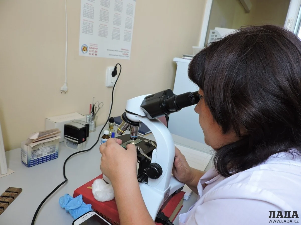 Исследования в лаборатории диспансера. Фото автора