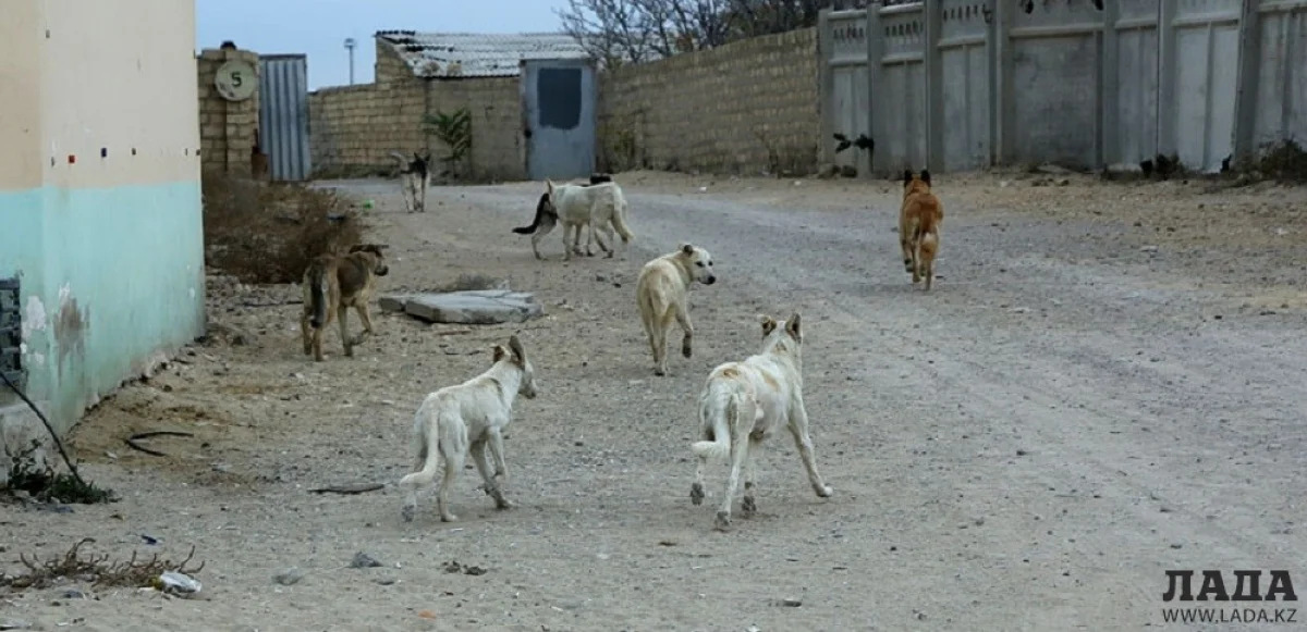 Фото из архива «Лады»