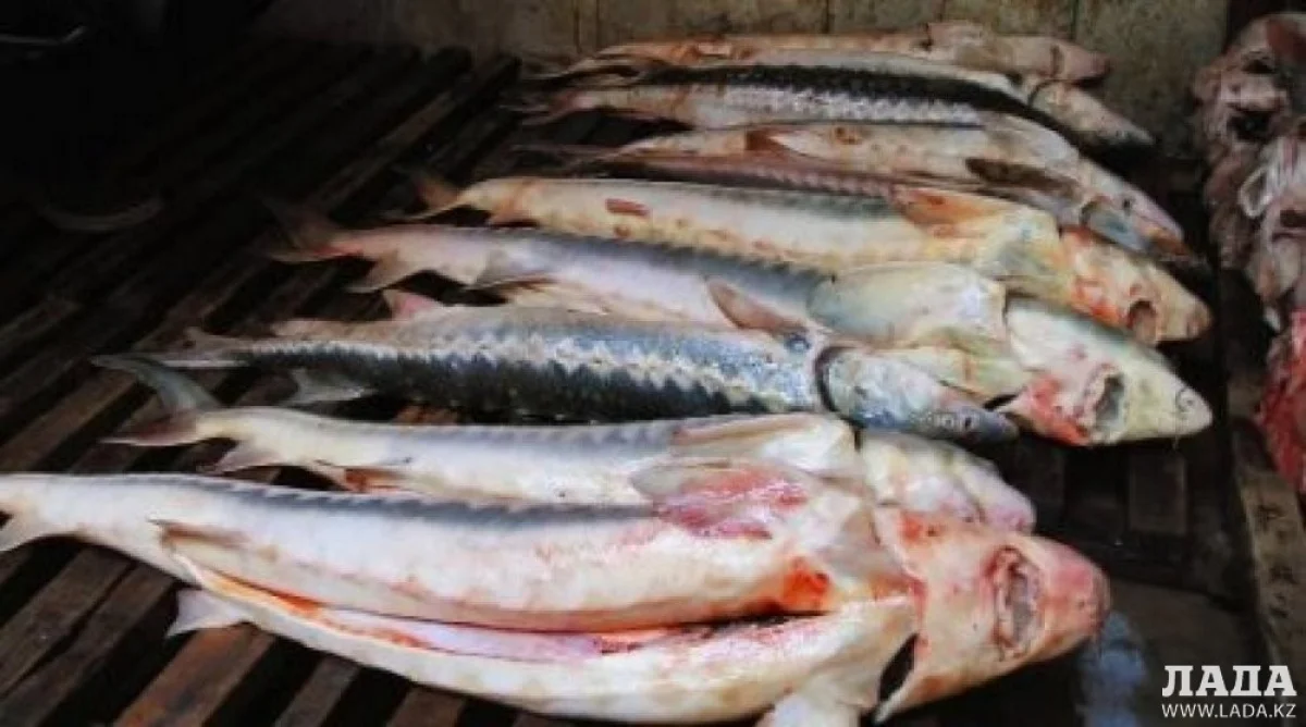 Фото из архива «Лады»