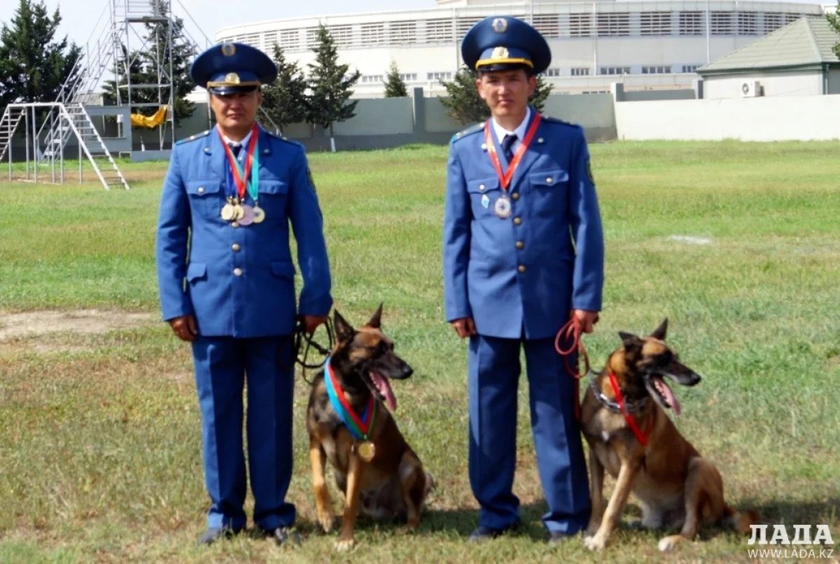 Собаки и их хозяева после награждения