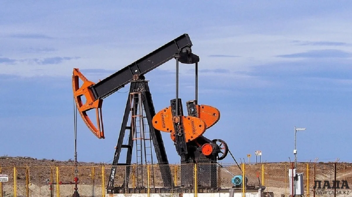 Фото из архива «Лады»