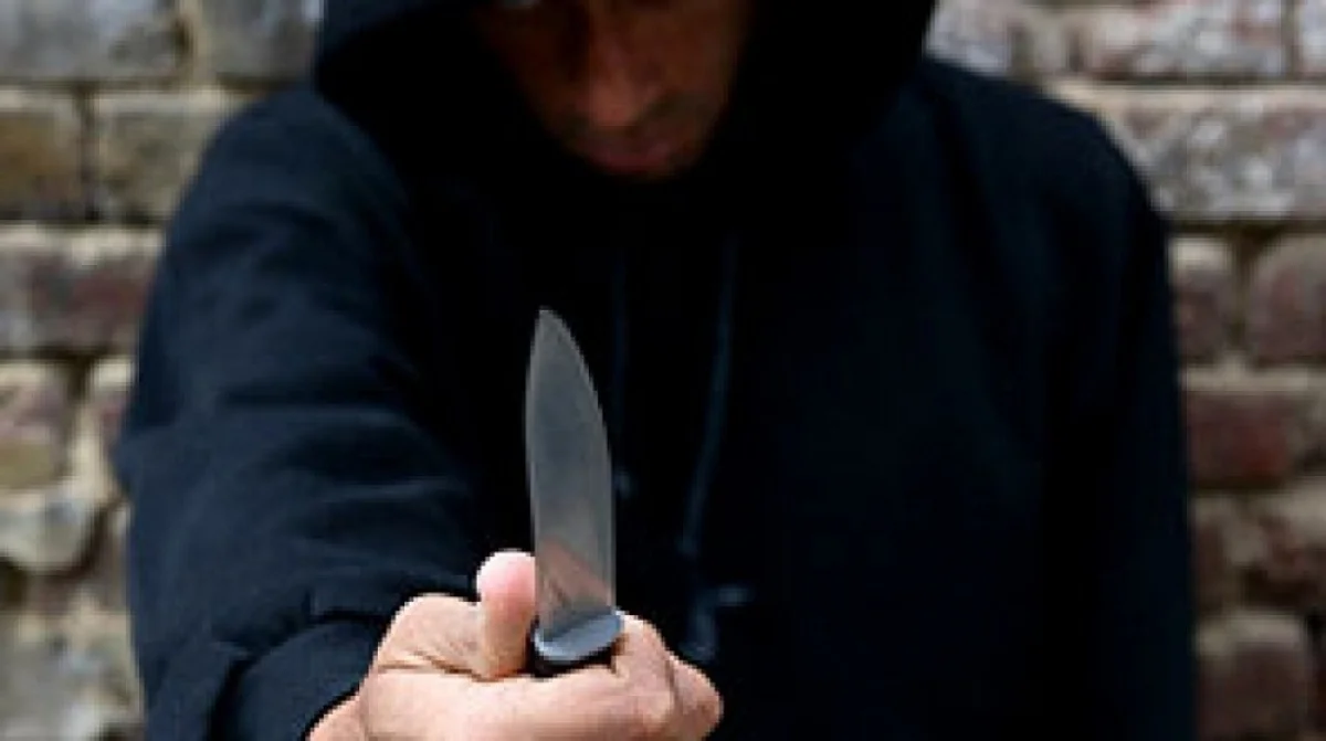 Фото progorod11.ru