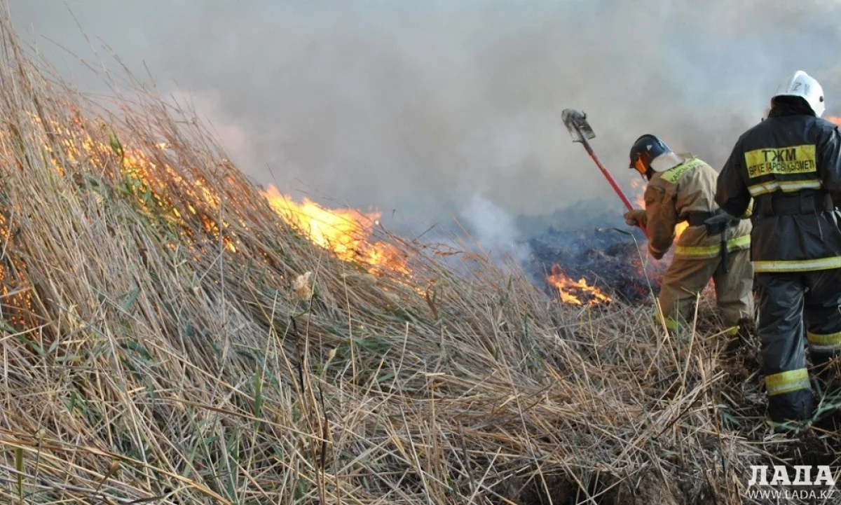 Тушение возгорания камыша||news_pic_more|<!--TBegin--><a href="https://img.lada.kz/2015-10/1444315493_kamish1.jpg" onclick="return hs.expand(this)" ><img align="left" src="https://img.lada.kz/2015-10/thumbs/1444315493_kamish1.jpg" alt='Горение камыша в прибрежной зоне Каспийского моря ликвидировано атыраускими пожарными' title='Горение камыша в прибрежной зоне Каспийского моря ликвидировано атыраускими пожарными'  /></a><!--TEnd--><br /><!--TBegin--><a href="https://img.lada.kz/2015-10/1444315511_kamish2.jpg" onclick="return hs.expand(this)" ><img align="left" src="https://img.lada.kz/2015-10/thumbs/1444315511_kamish2.jpg" alt='Горение камыша в прибрежной зоне Каспийского моря ликвидировано атыраускими пожарными' title='Горение камыша в прибрежной зоне Каспийского моря ликвидировано атыраускими пожарными'  /></a><!--TEnd--><br /><!--TBegin--><a href="https://img.lada.kz/2015-10/1444315507_kamish4.jpg" onclick="return hs.expand(this)" ><img align="left" src="https://img.lada.kz/2015-10/thumbs/1444315507_kamish4.jpg" alt='Горение камыша в прибрежной зоне Каспийского моря ликвидировано атыраускими пожарными' title='Горение камыша в прибрежной зоне Каспийского моря ликвидировано атыраускими пожарными'  /></a><!--TEnd-->
