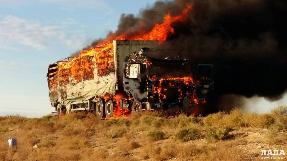 Фото пользователя Лада.kz