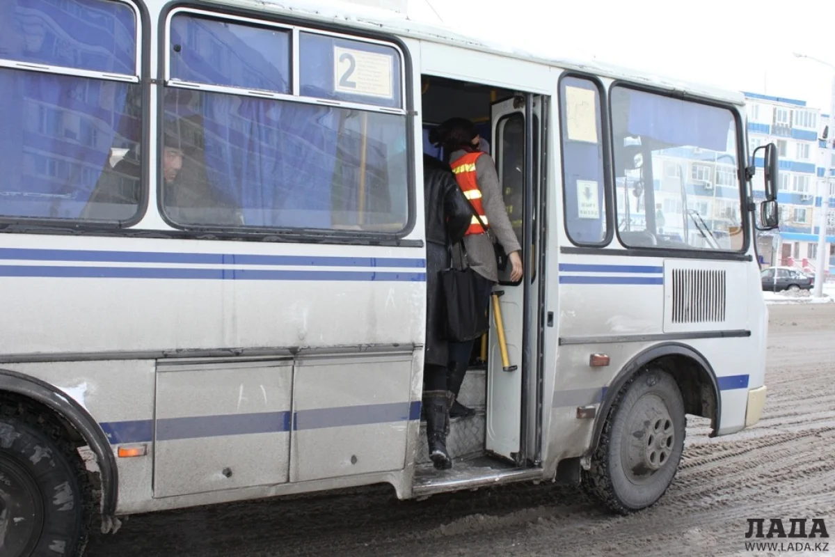 _фото автора