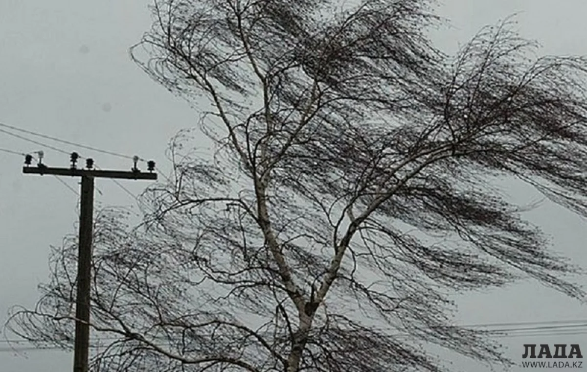 Фото из архива «Лады»