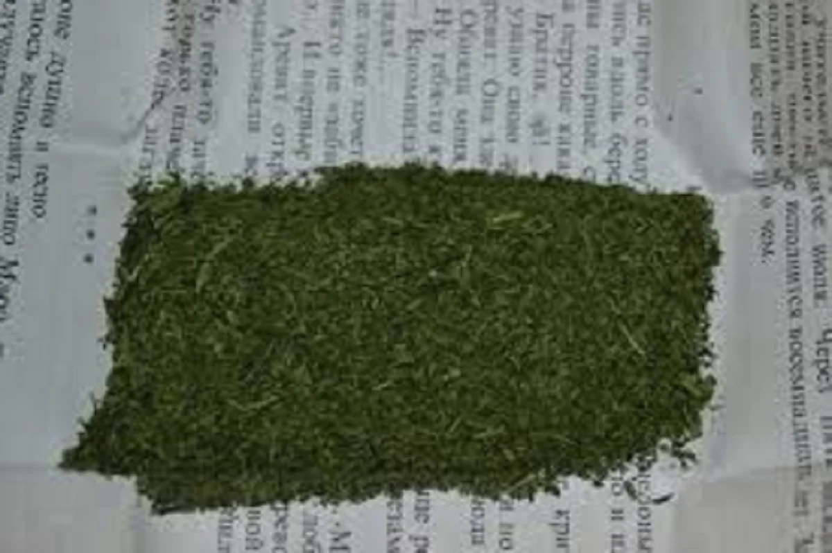 Фото из архива &quot;Лады&quot;