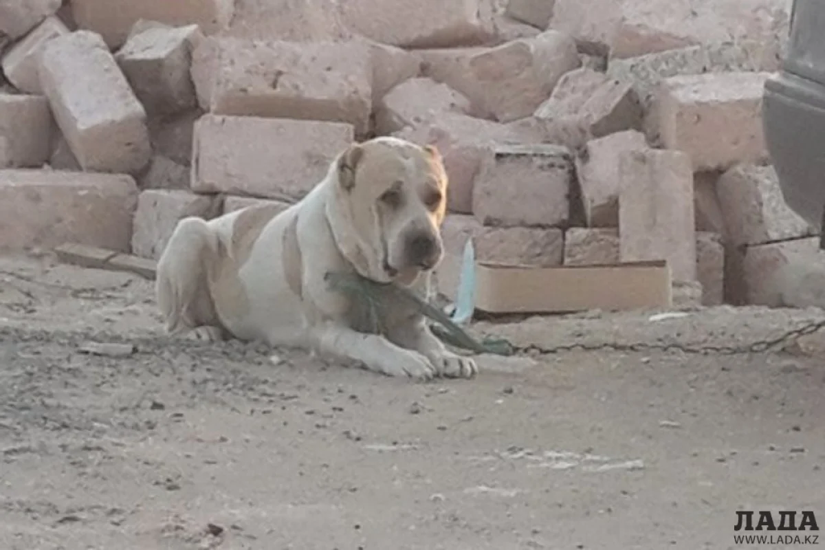 фото взято с сайта vk.com