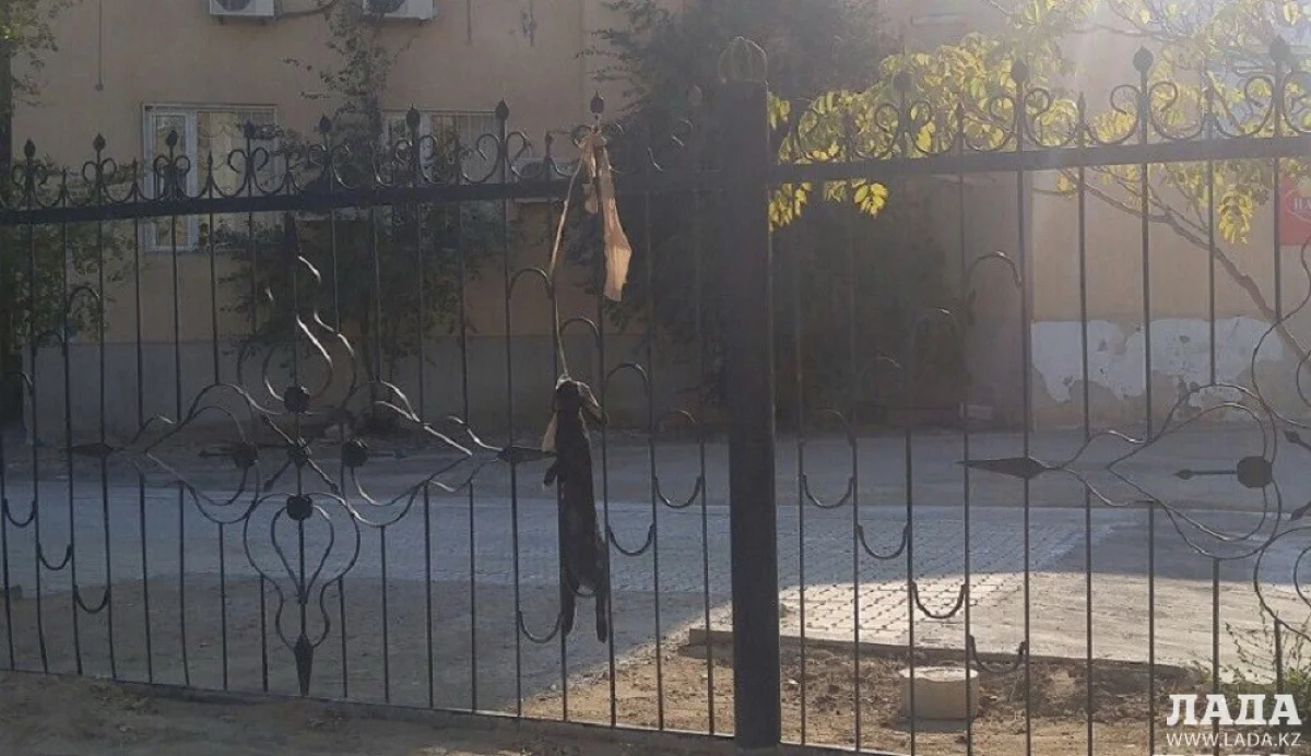 Повешенный кролик